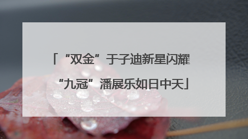 “双金”于子迪新星闪耀 “九冠”潘展乐如日中天